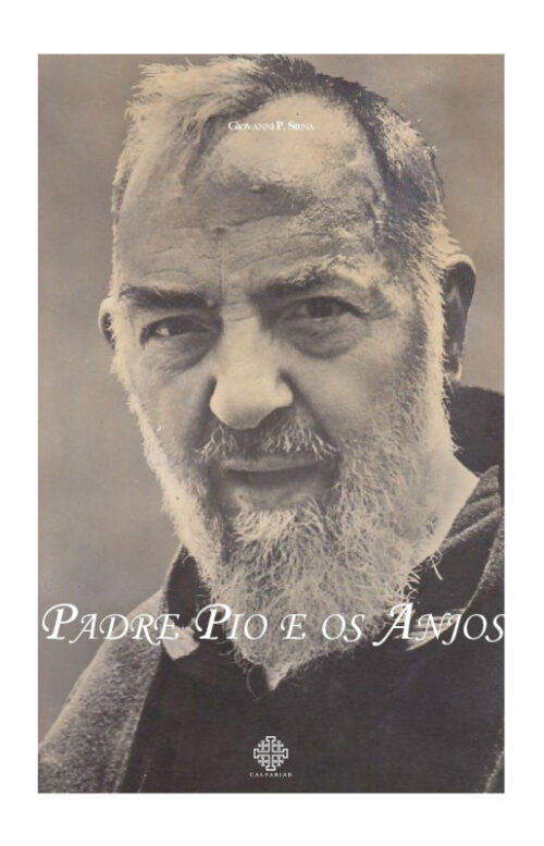 padre-pio-e-os-anjos
